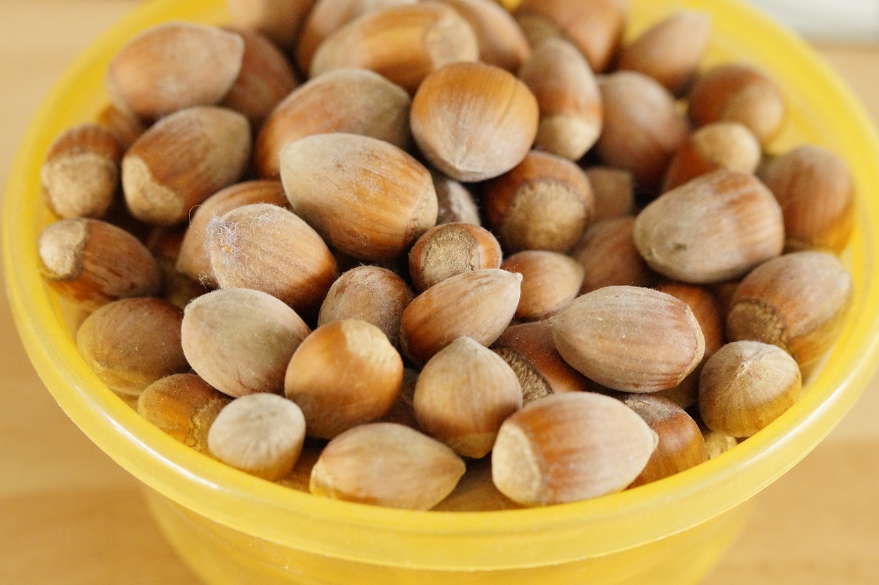 nuts hazelnuts many free photo