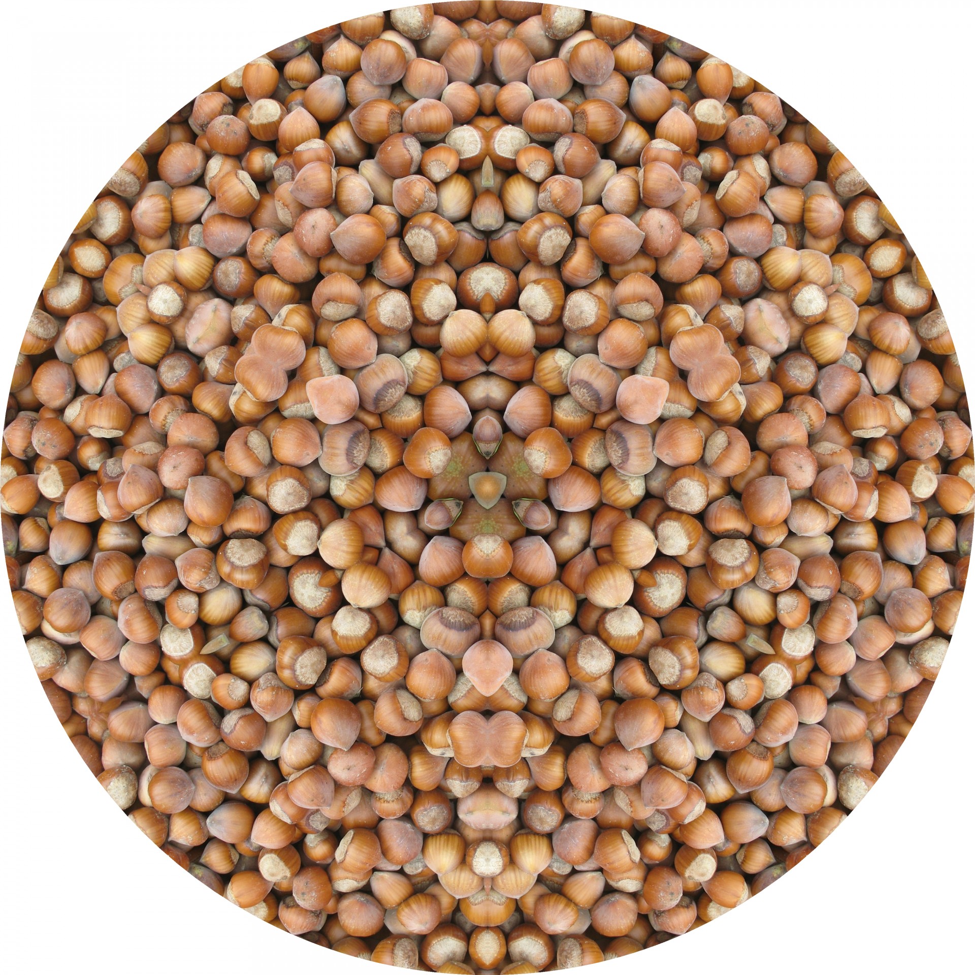 nuts circle kaleidoscope free photo