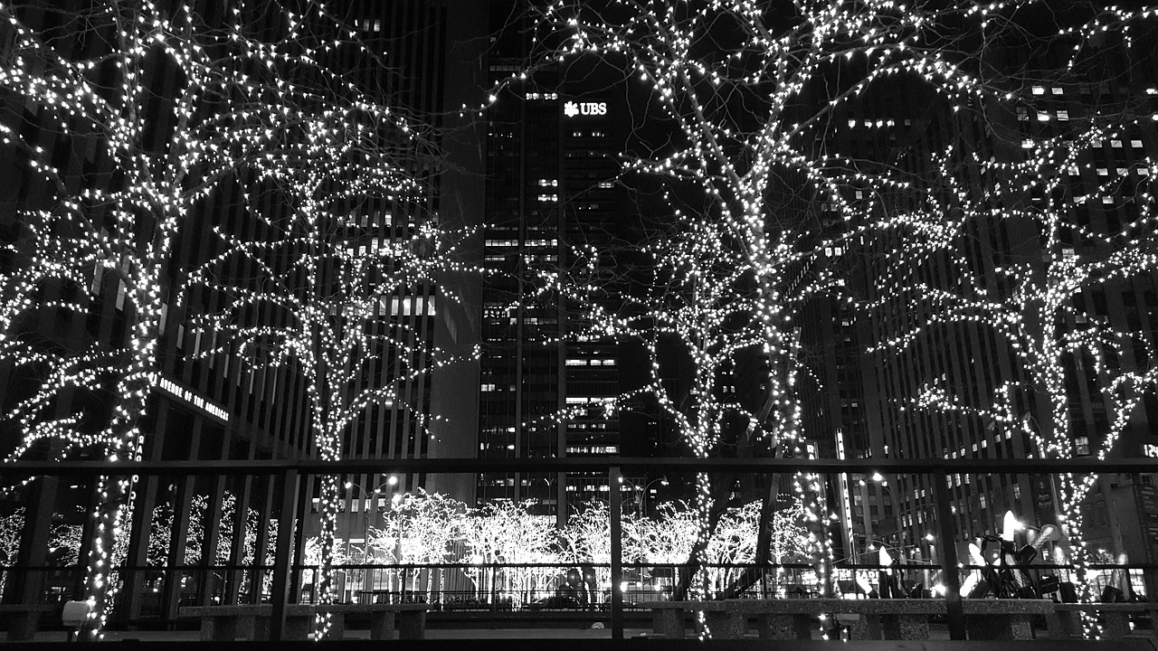 nyc christmas winter free photo