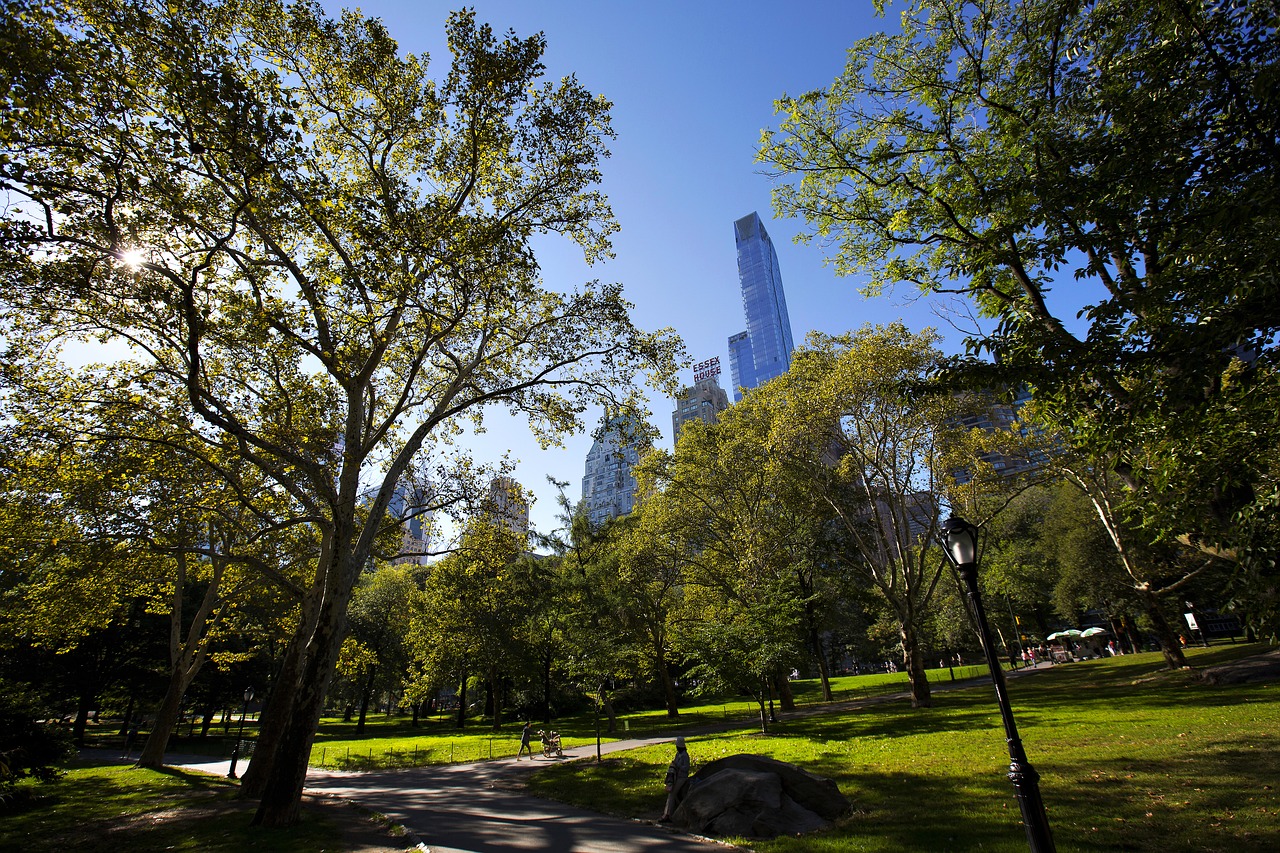 nyc new york city central park free photo