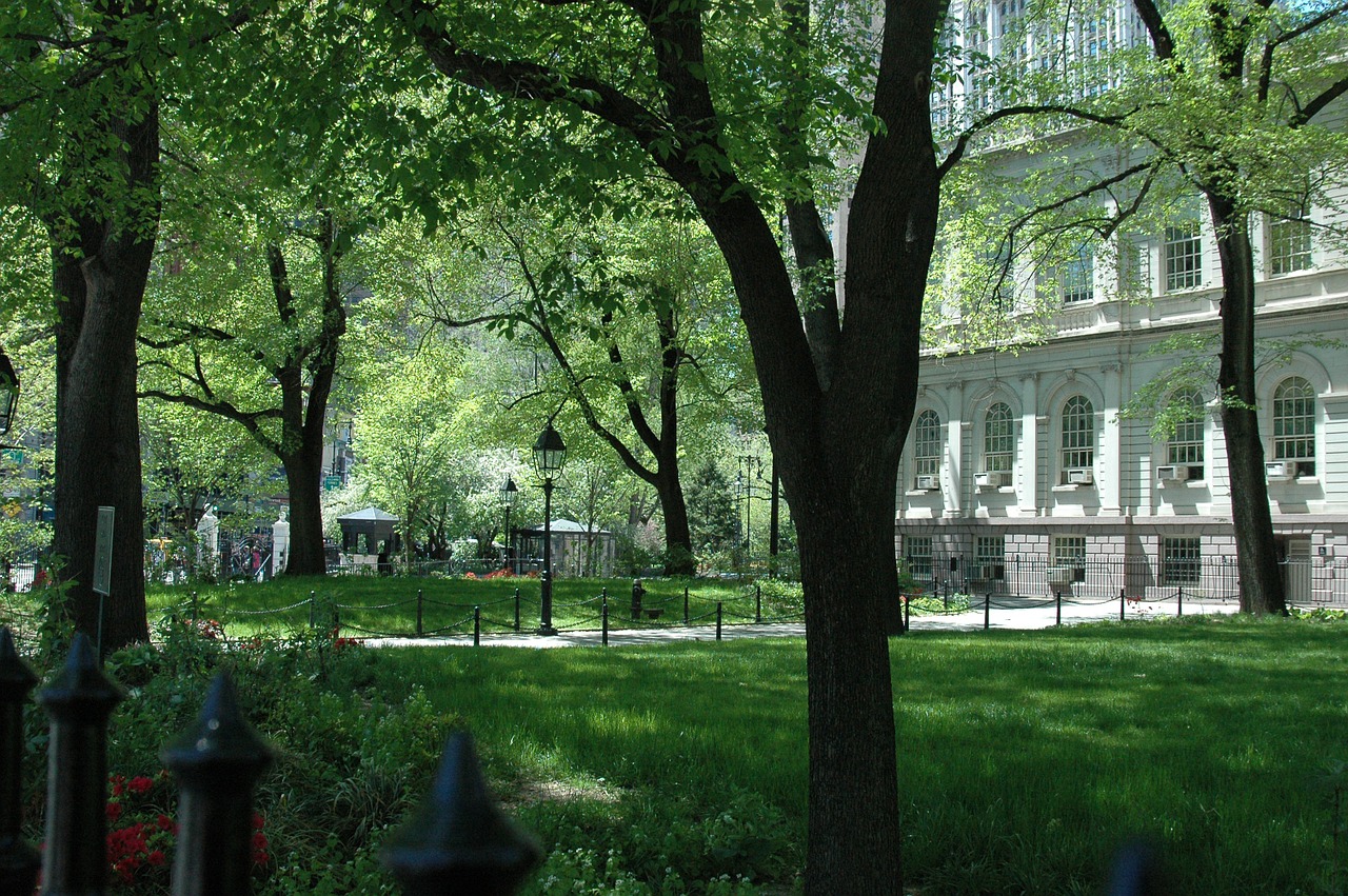 nyc city hall park free photo