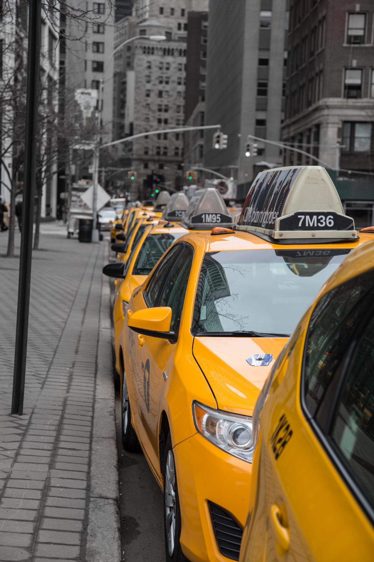 yellow cab new free photo