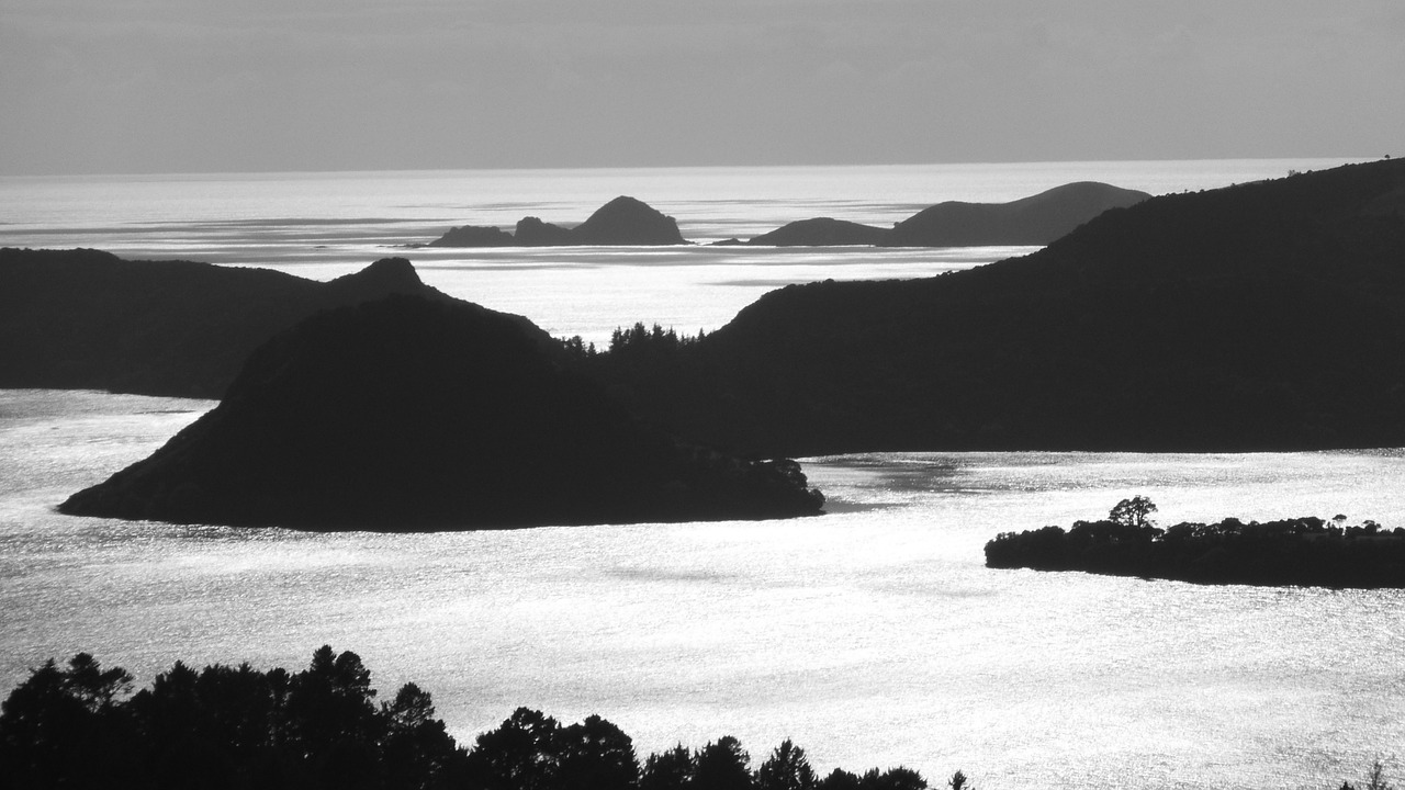 nz landscape water free photo