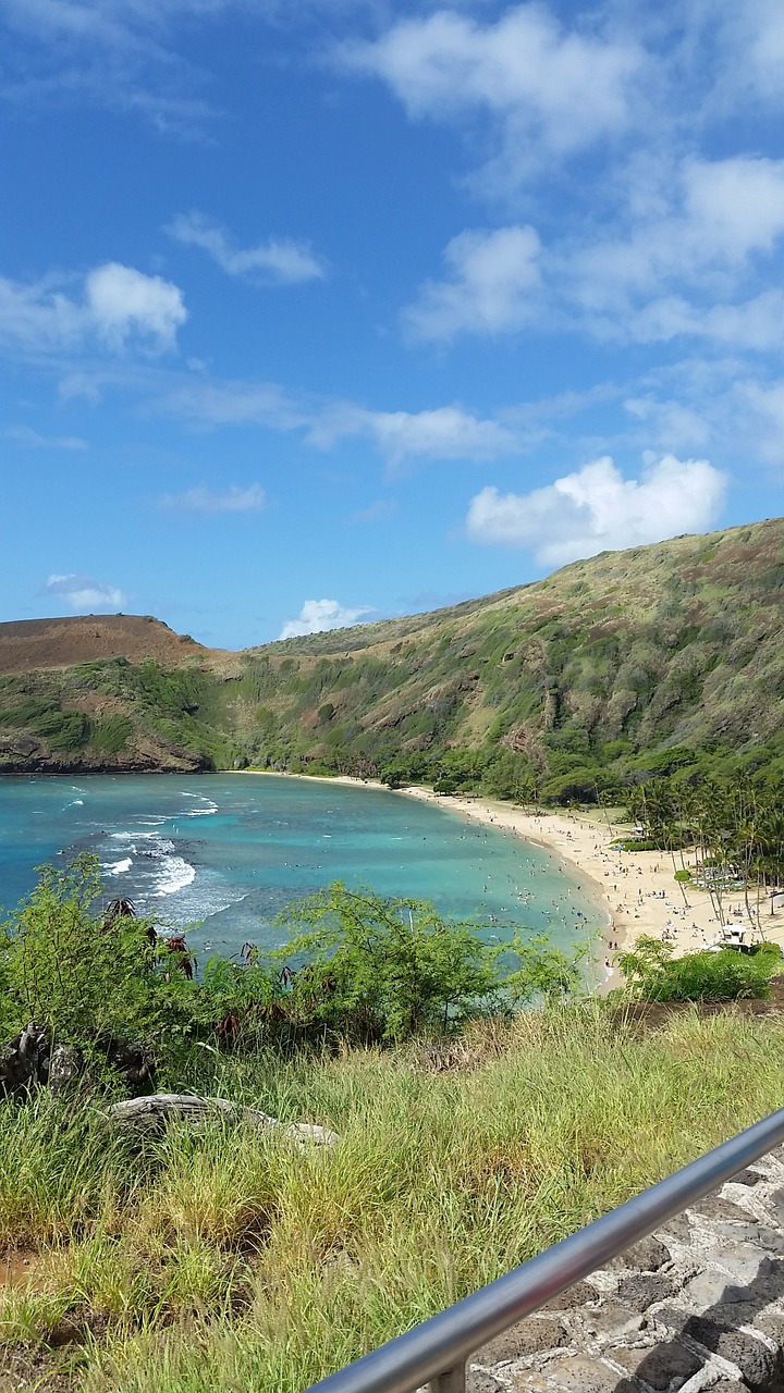 oahu beach water free photo