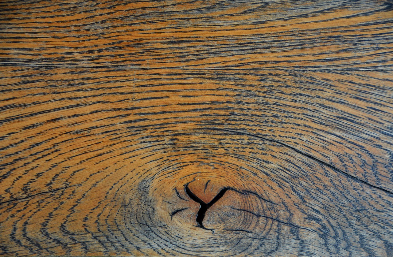 oak knothole parquet free photo