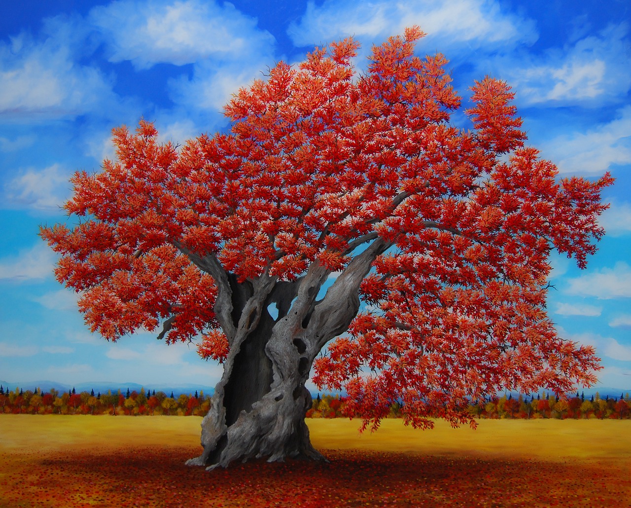 oak rossa quercus free photo