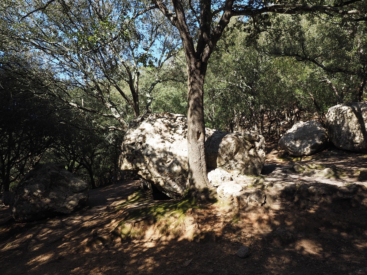 oak forest rock limestones free photo