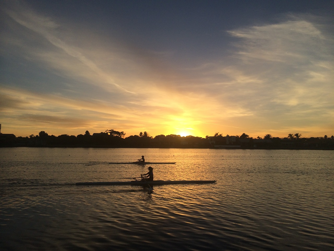 oarsmanship rowing sport free photo