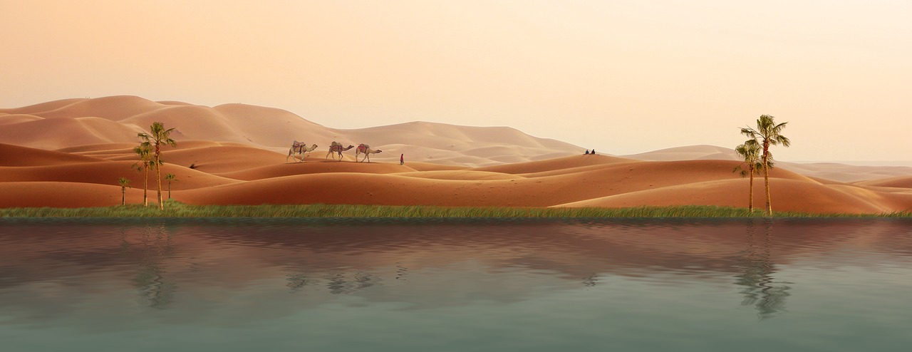 oasis desert caravan free photo