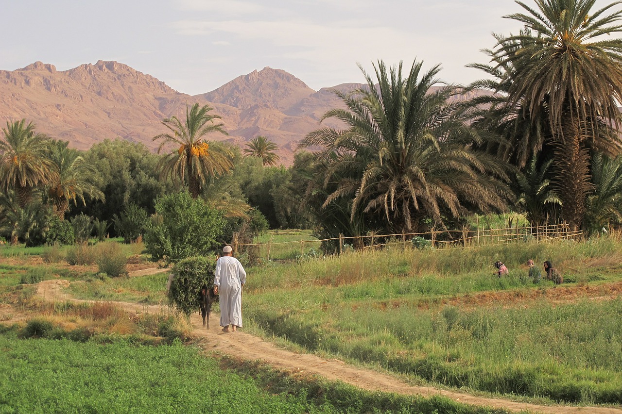 oasis tinerhir marroc joins juncadella at free photo