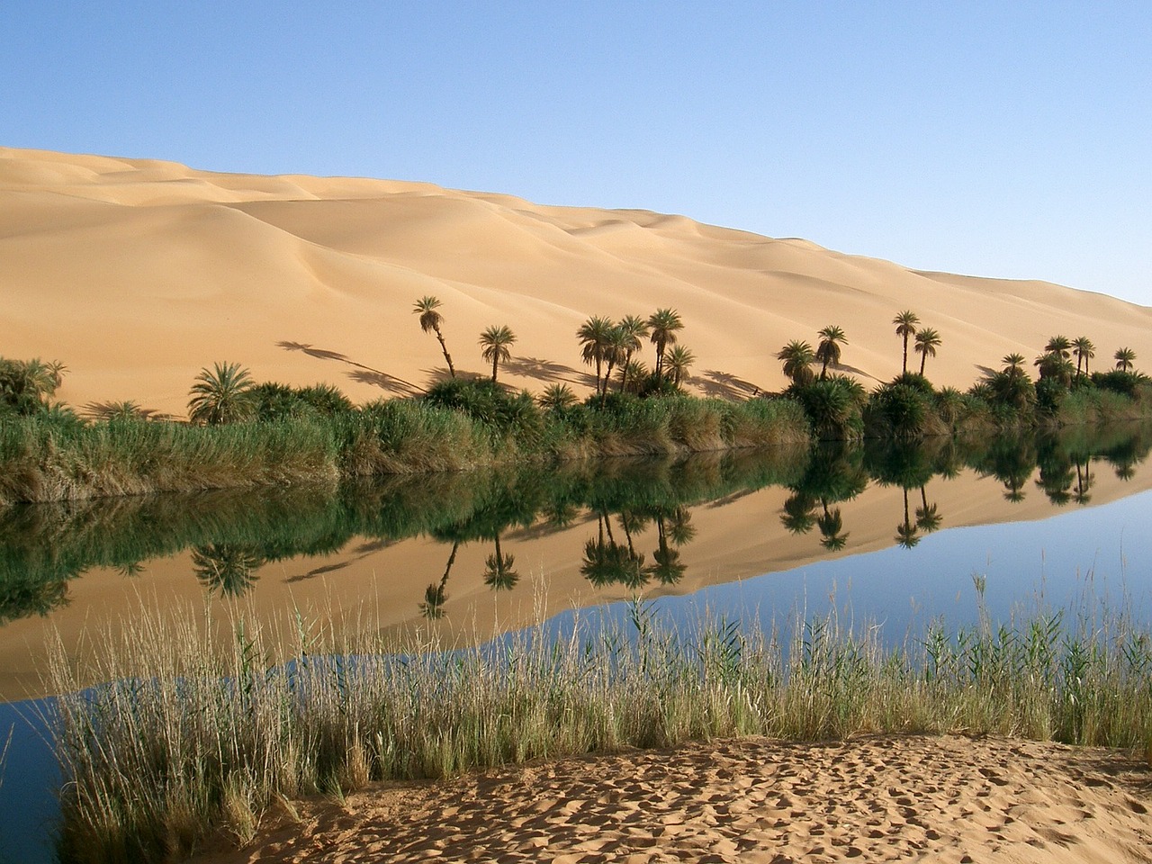 oasis libya desert free photo