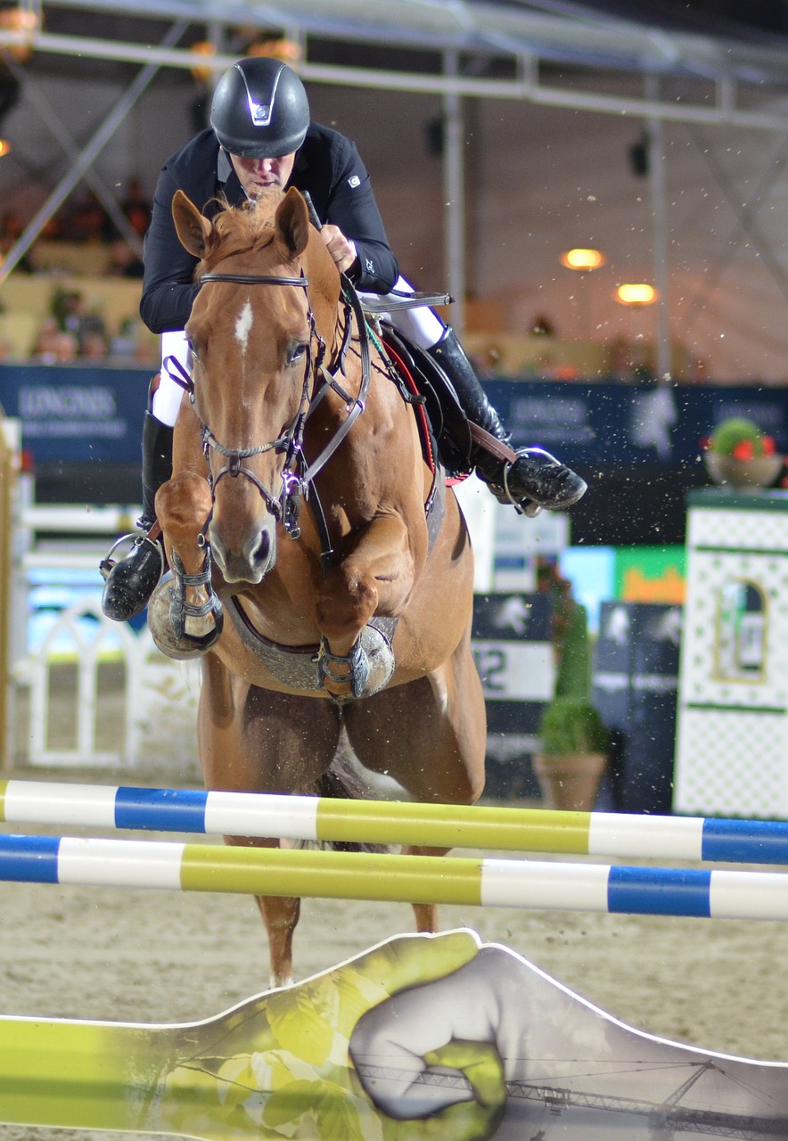 obstacle show jumping tournament ride free photo
