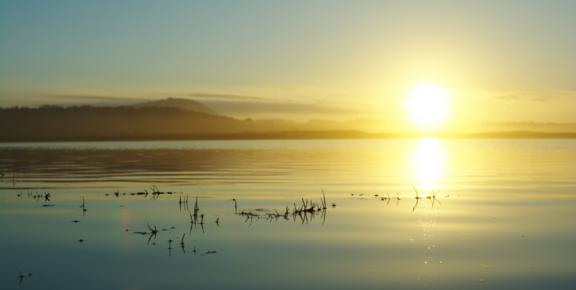 sunset water sunset in the lagoon free photo