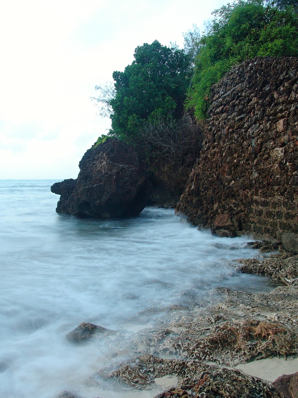 ocean sea beach free photo