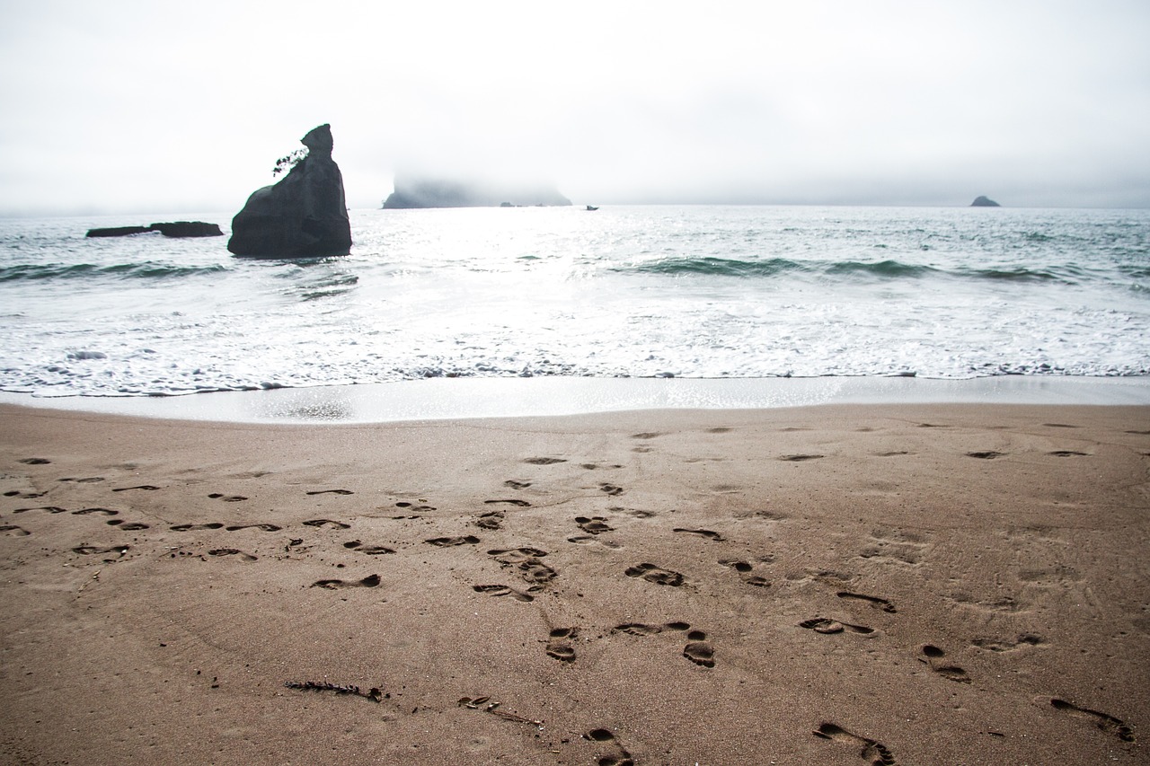 ocean sand foggy free photo