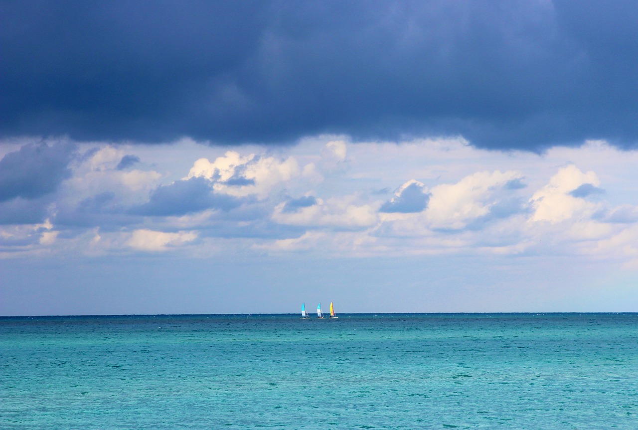 ocean boat sail water free photo