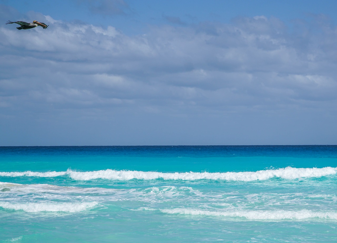 ocean cancun mexico free photo