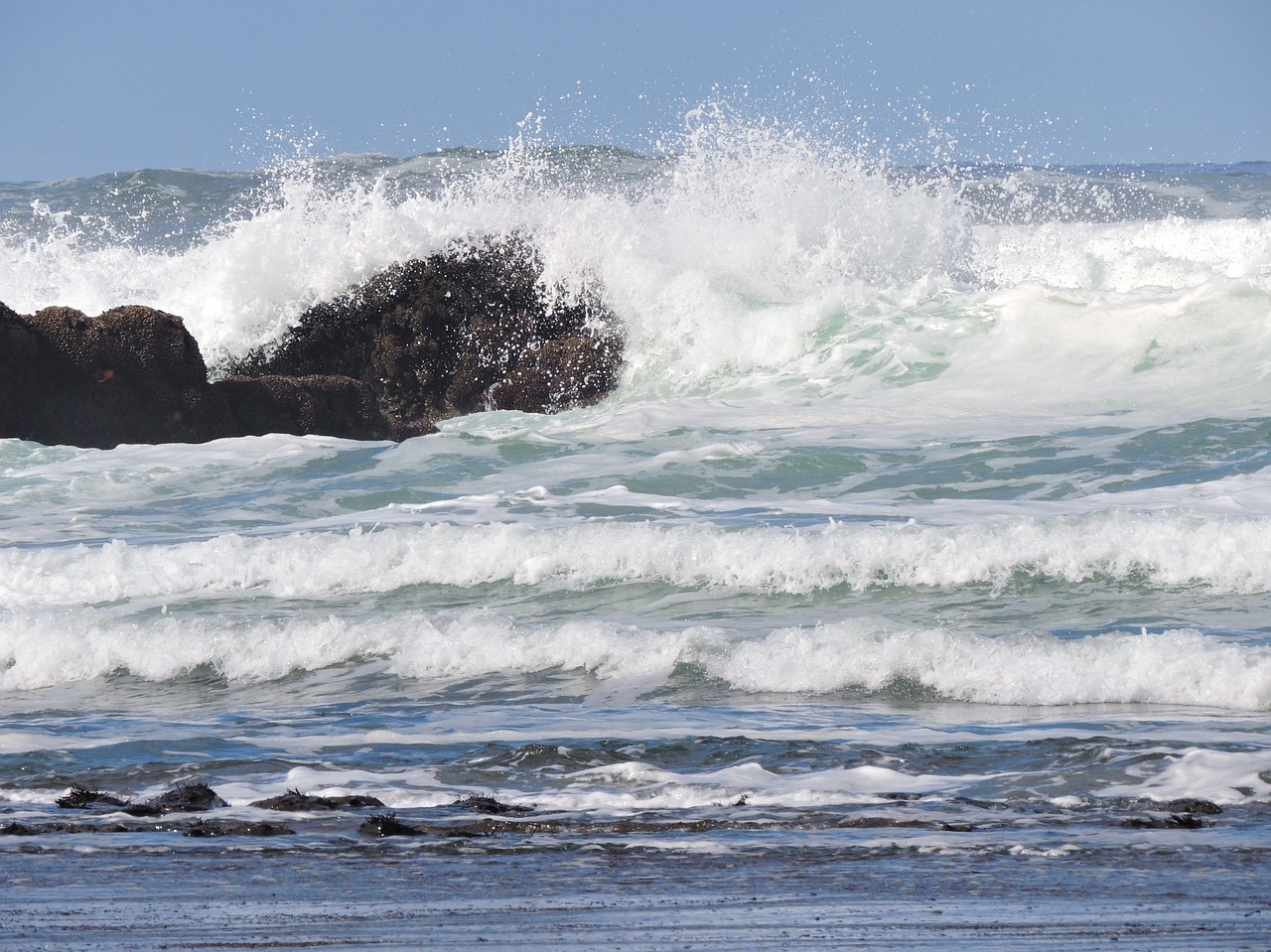 ocean coast wave free photo