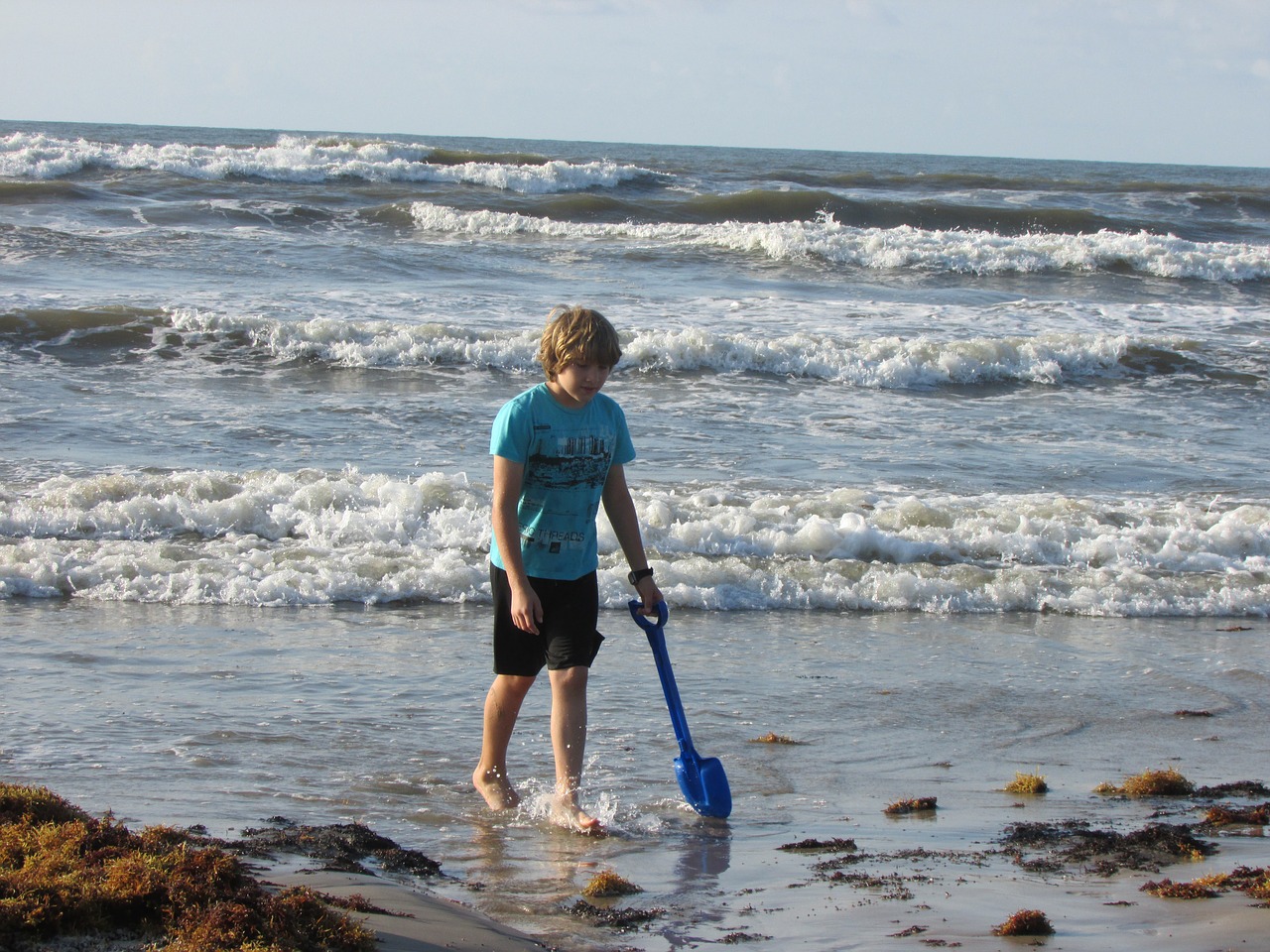 ocean coast line boy on beach free photo