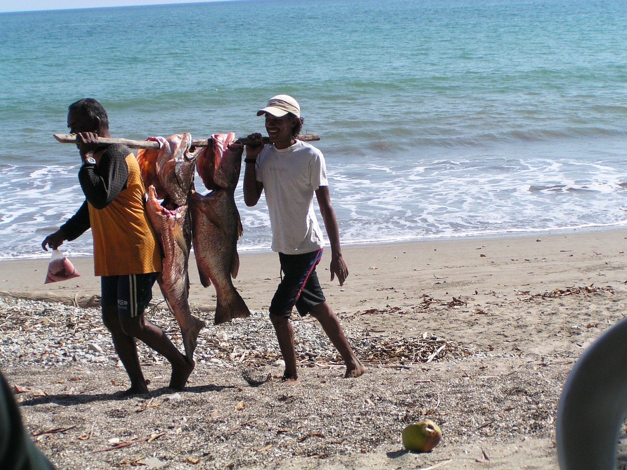 ocean fisherman beach free photo