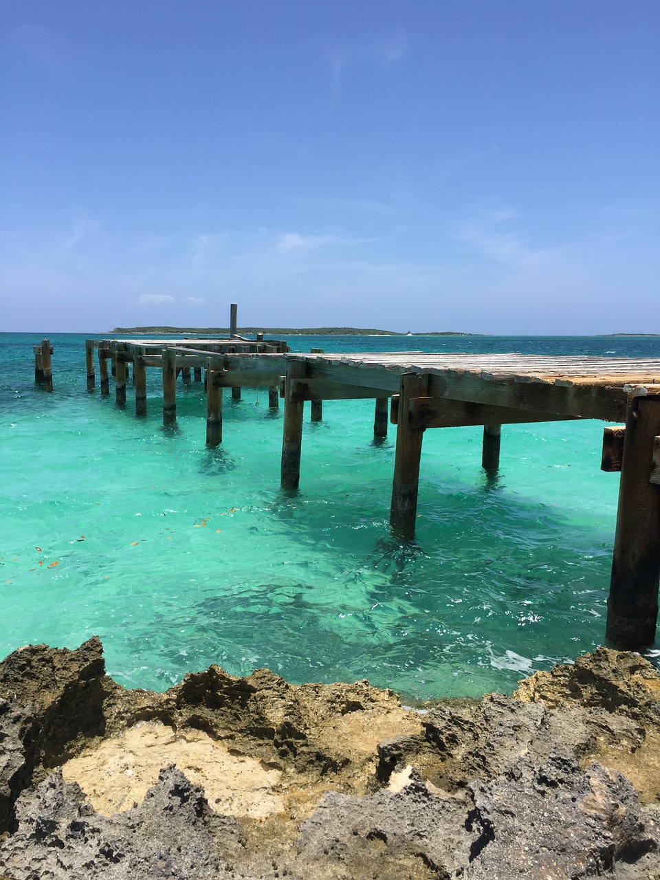 ocean bahamas beach free photo