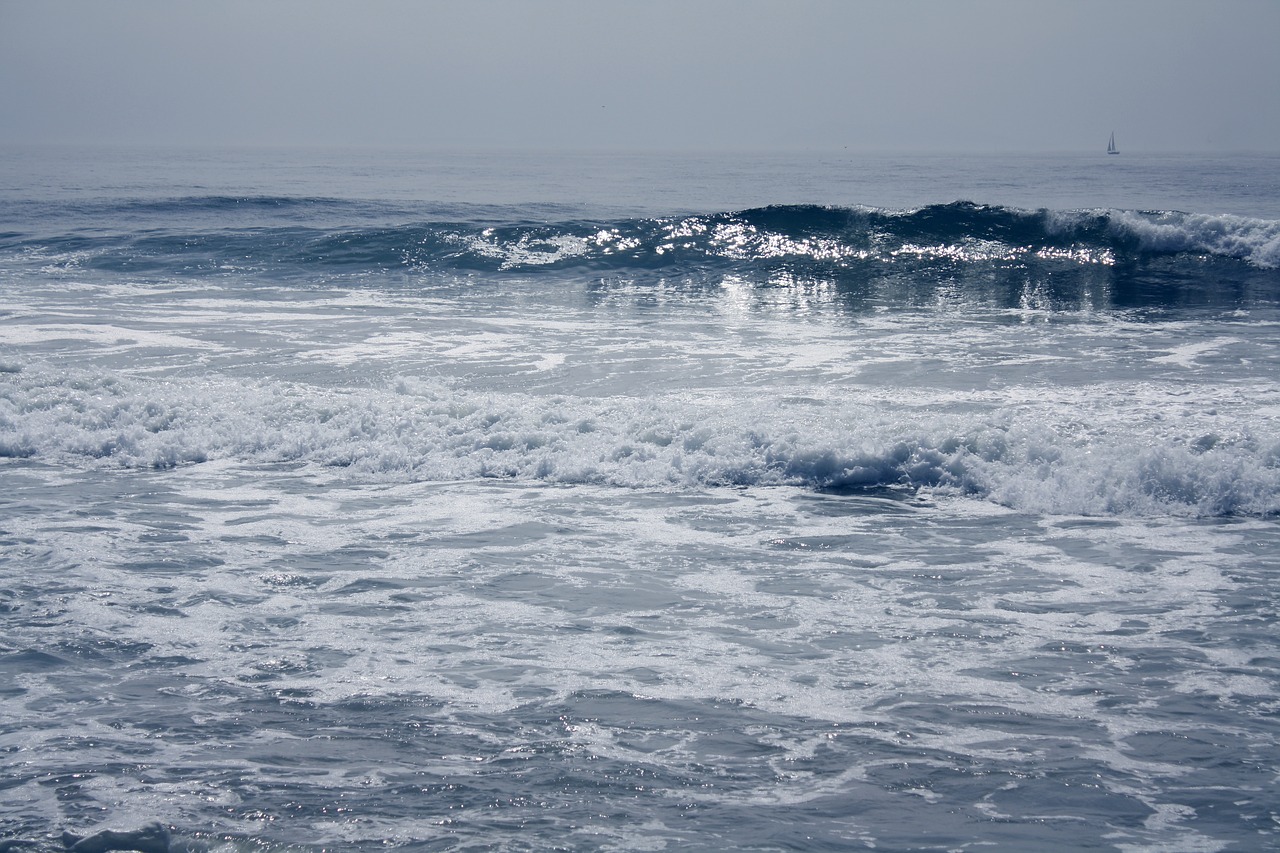 ocean wave sea free photo
