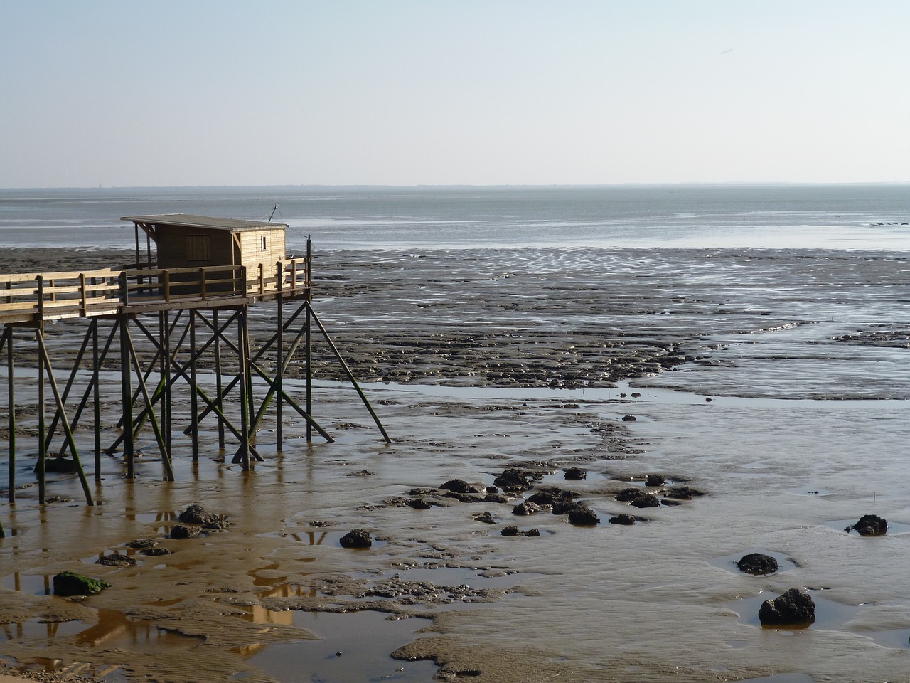 ocean water fishing free photo