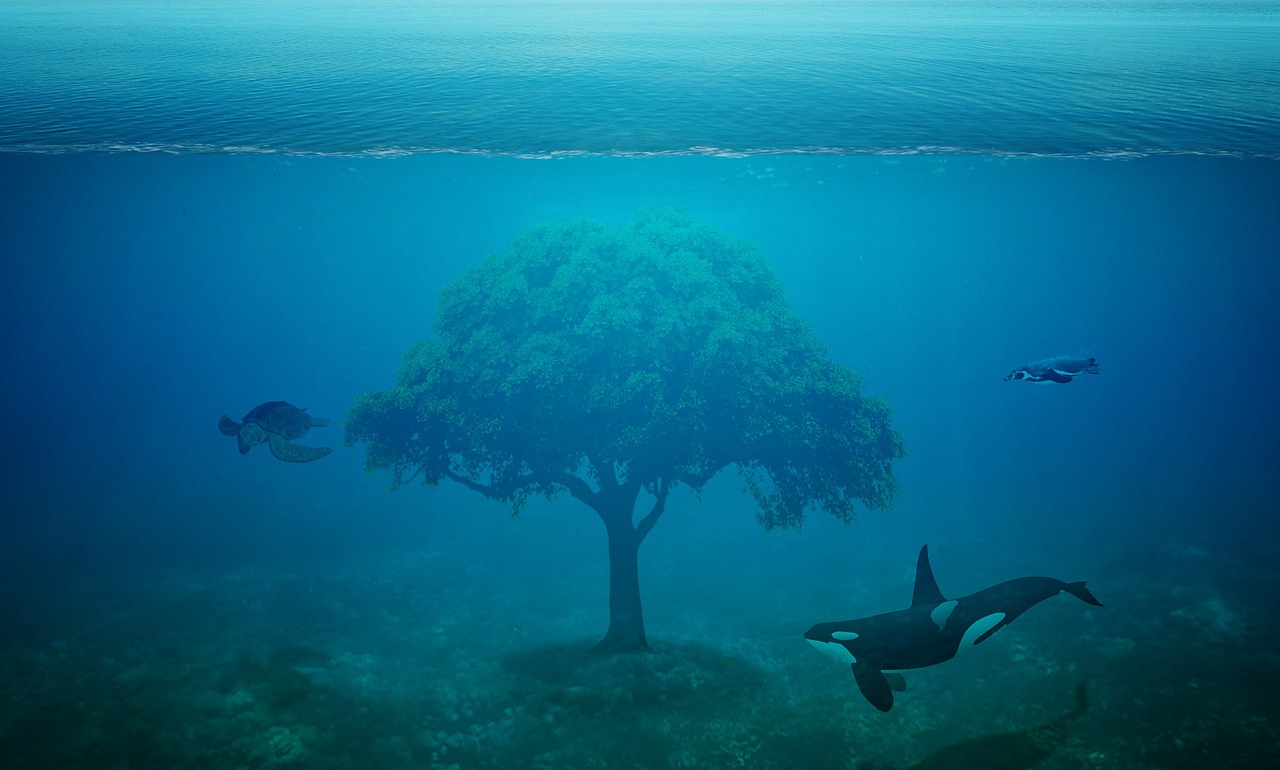 ocean tree fantasy free photo