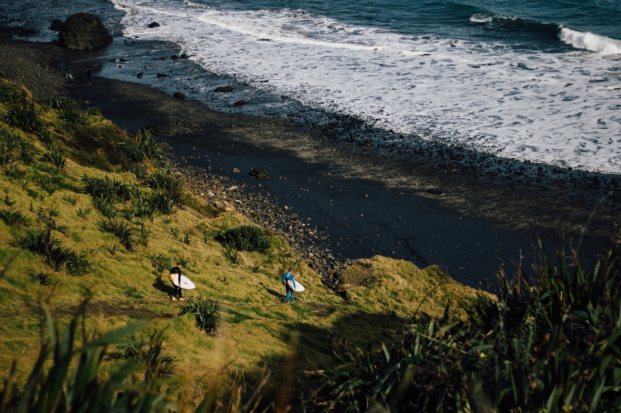 ocean sea seashore free photo