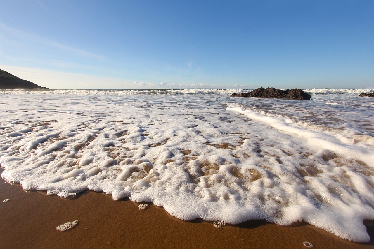 ocean beach coast free photo