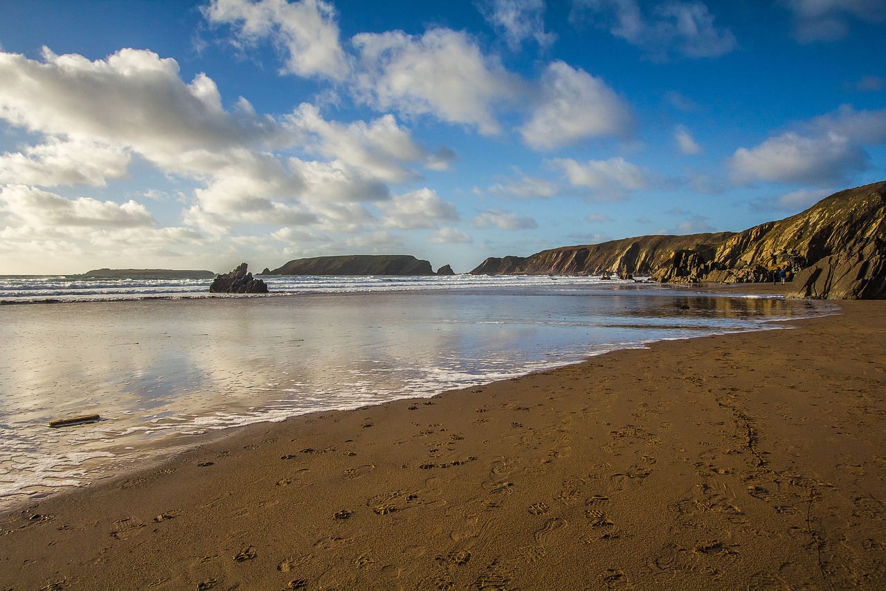 ocean beach sand free photo