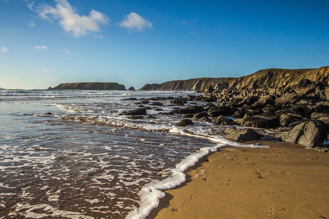 ocean beach low tide free photo