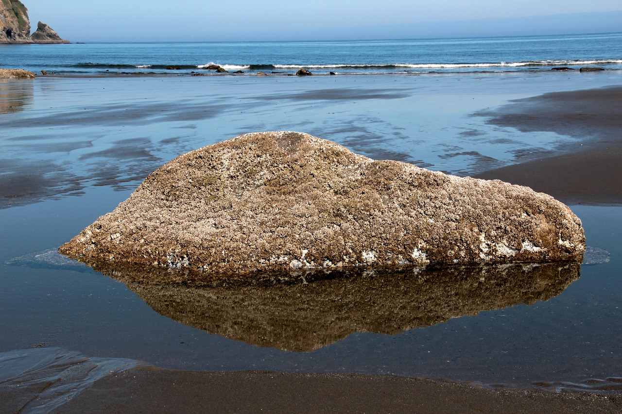 ocean rock stone free photo