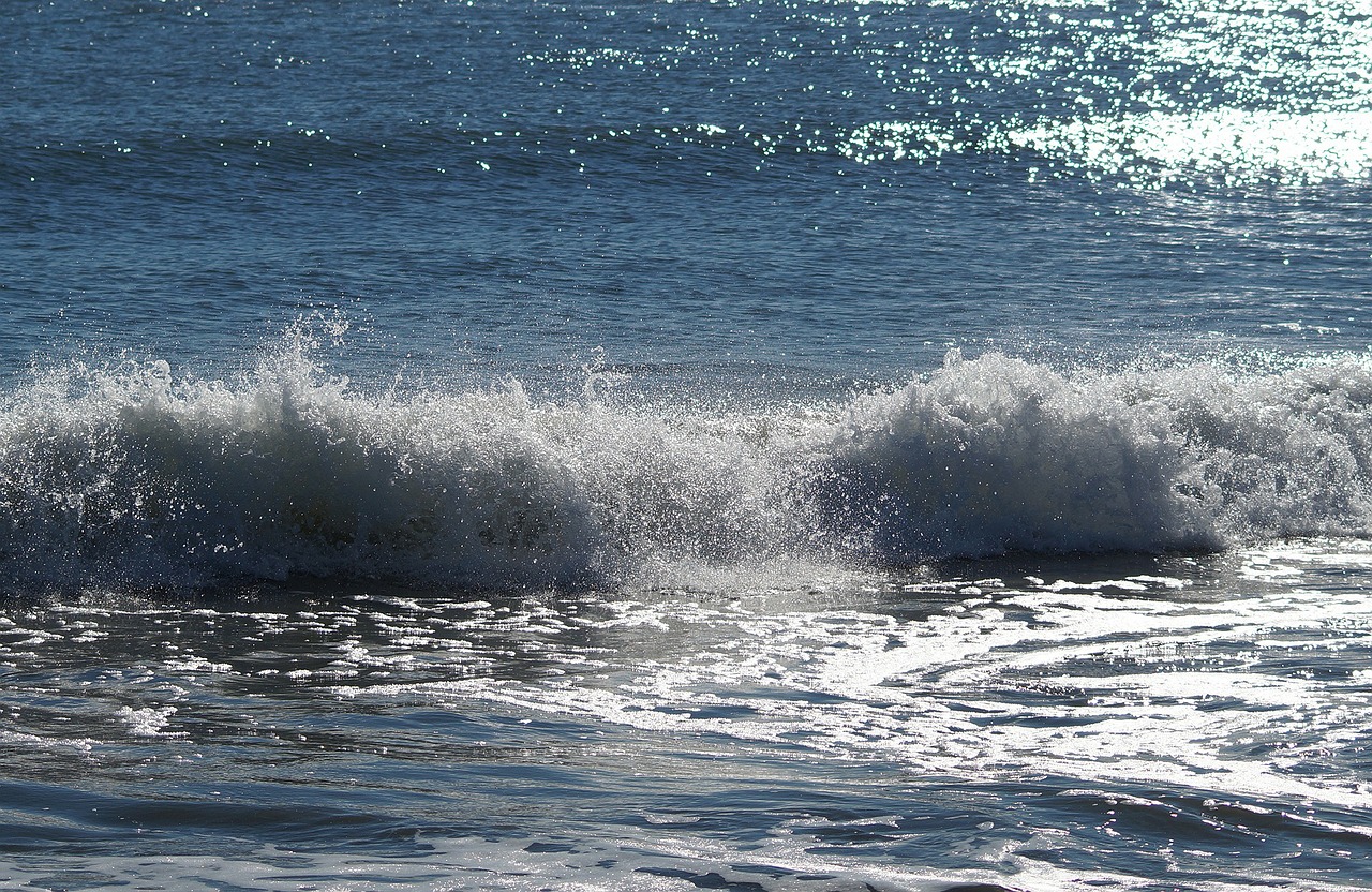 ocean waves water free photo
