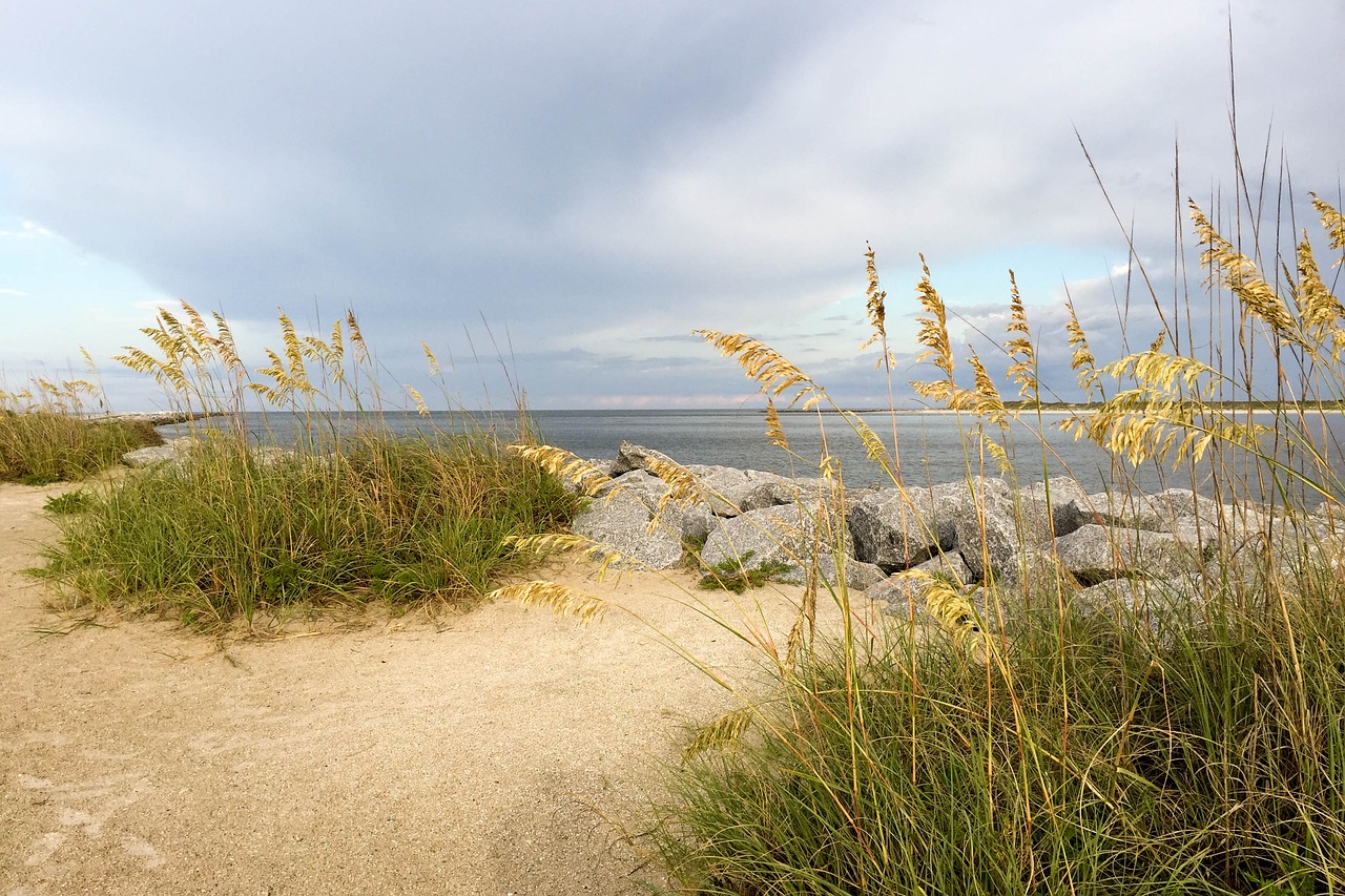 ocean atlantic beach free photo