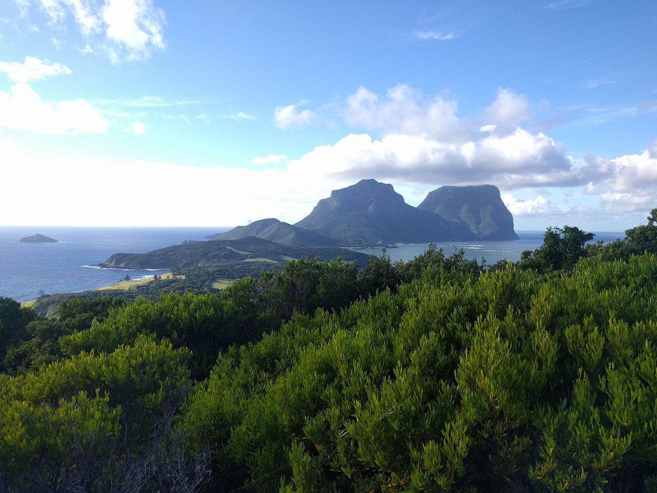 ocean mountain bush free photo