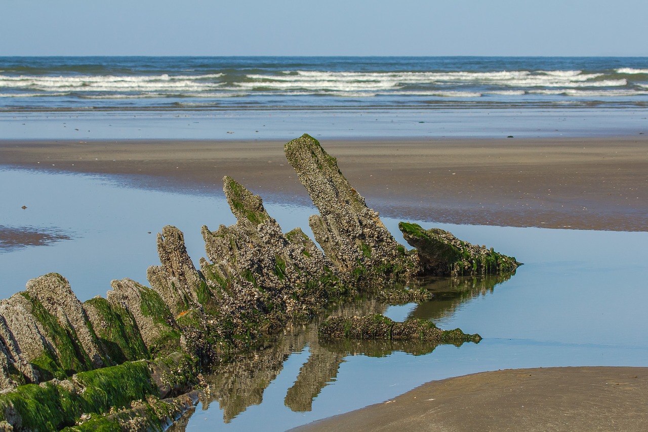 ocean wreck beach free photo