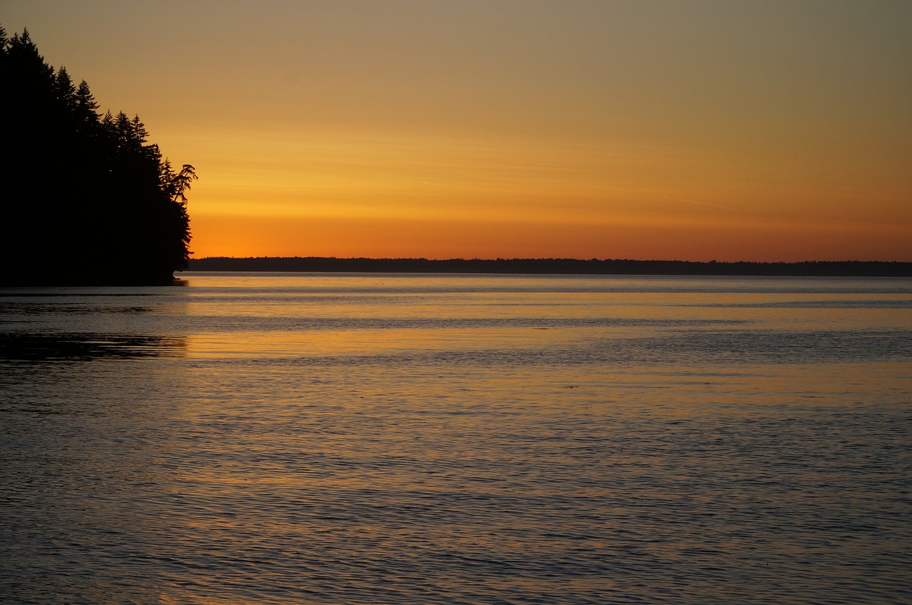 ocean sunset sea free photo