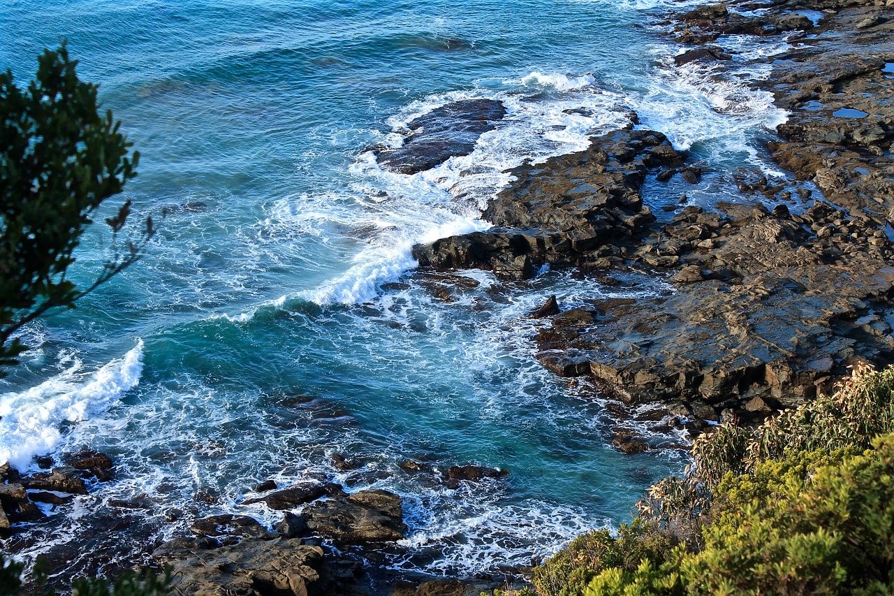 ocean sea waves free photo