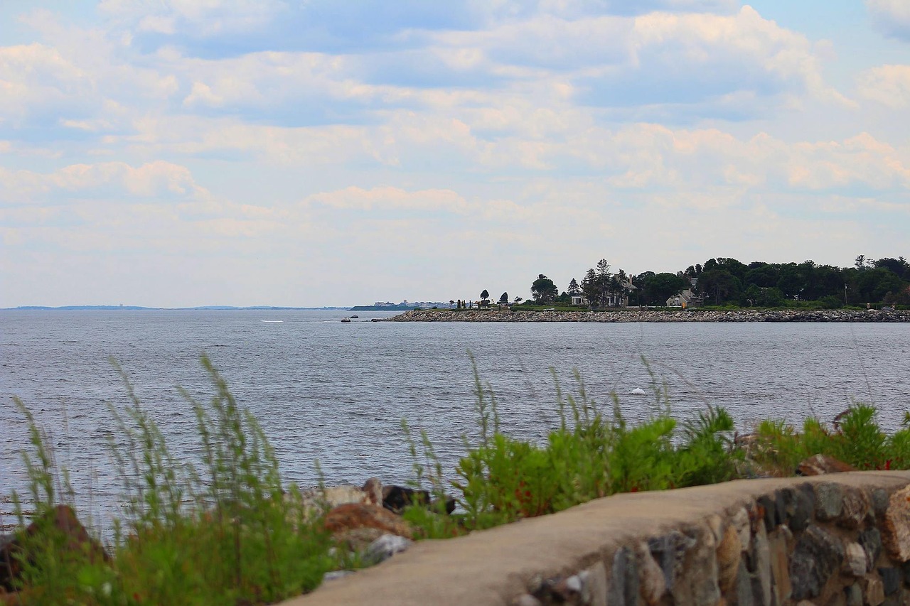 ocean shoreline coast free photo