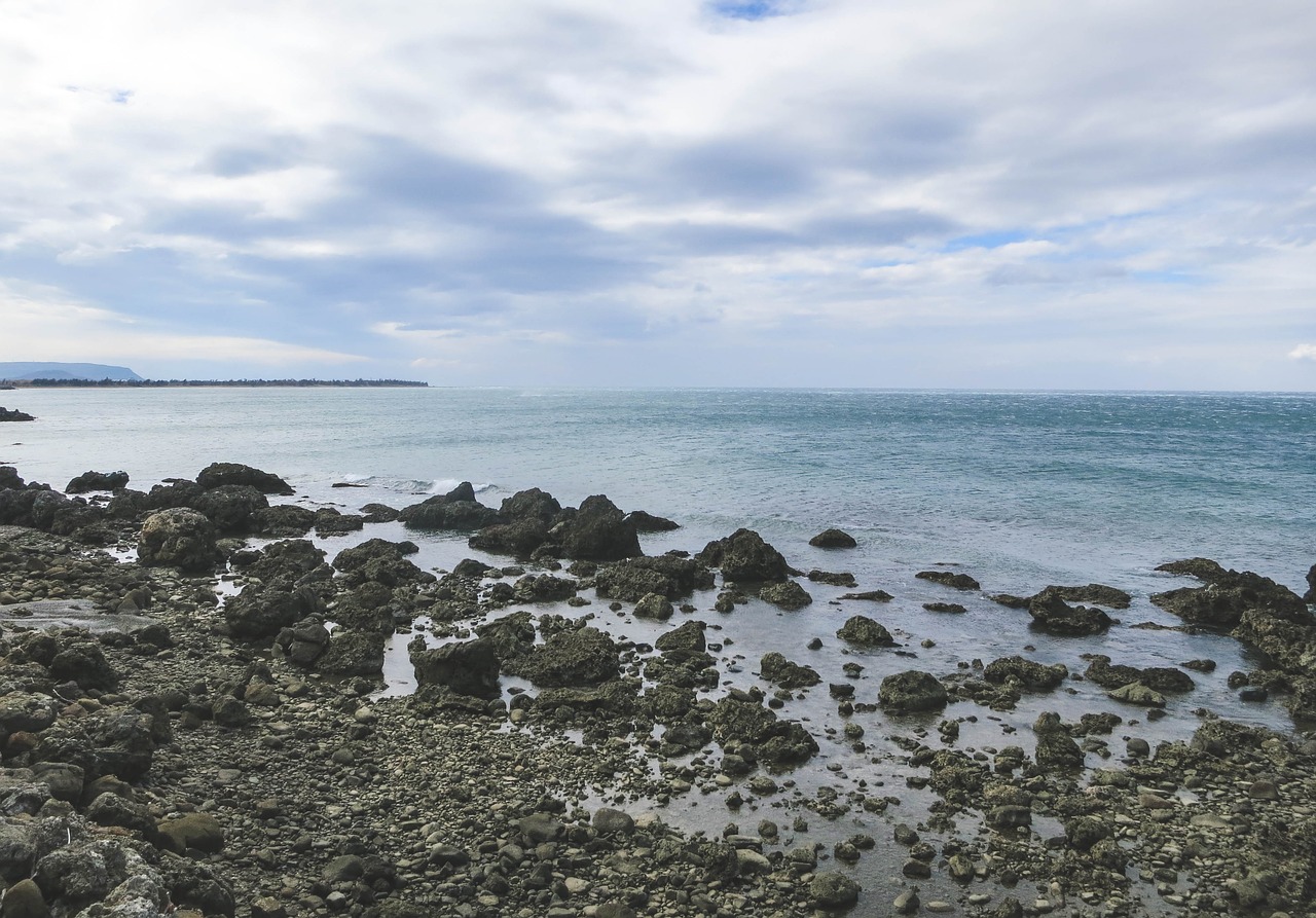 ocean coast rocks free photo