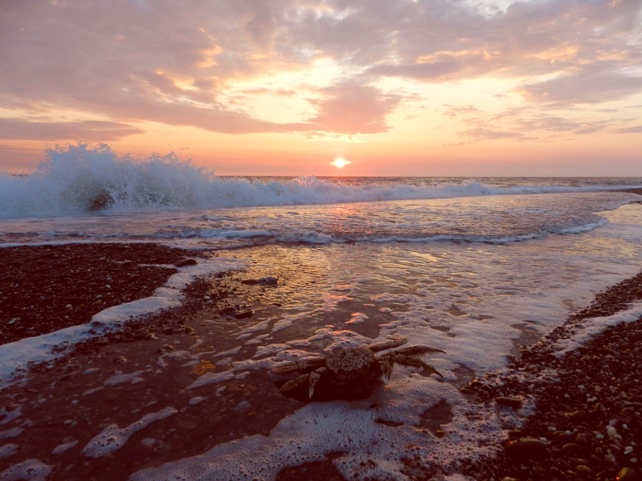 ocean sunrise wave free photo