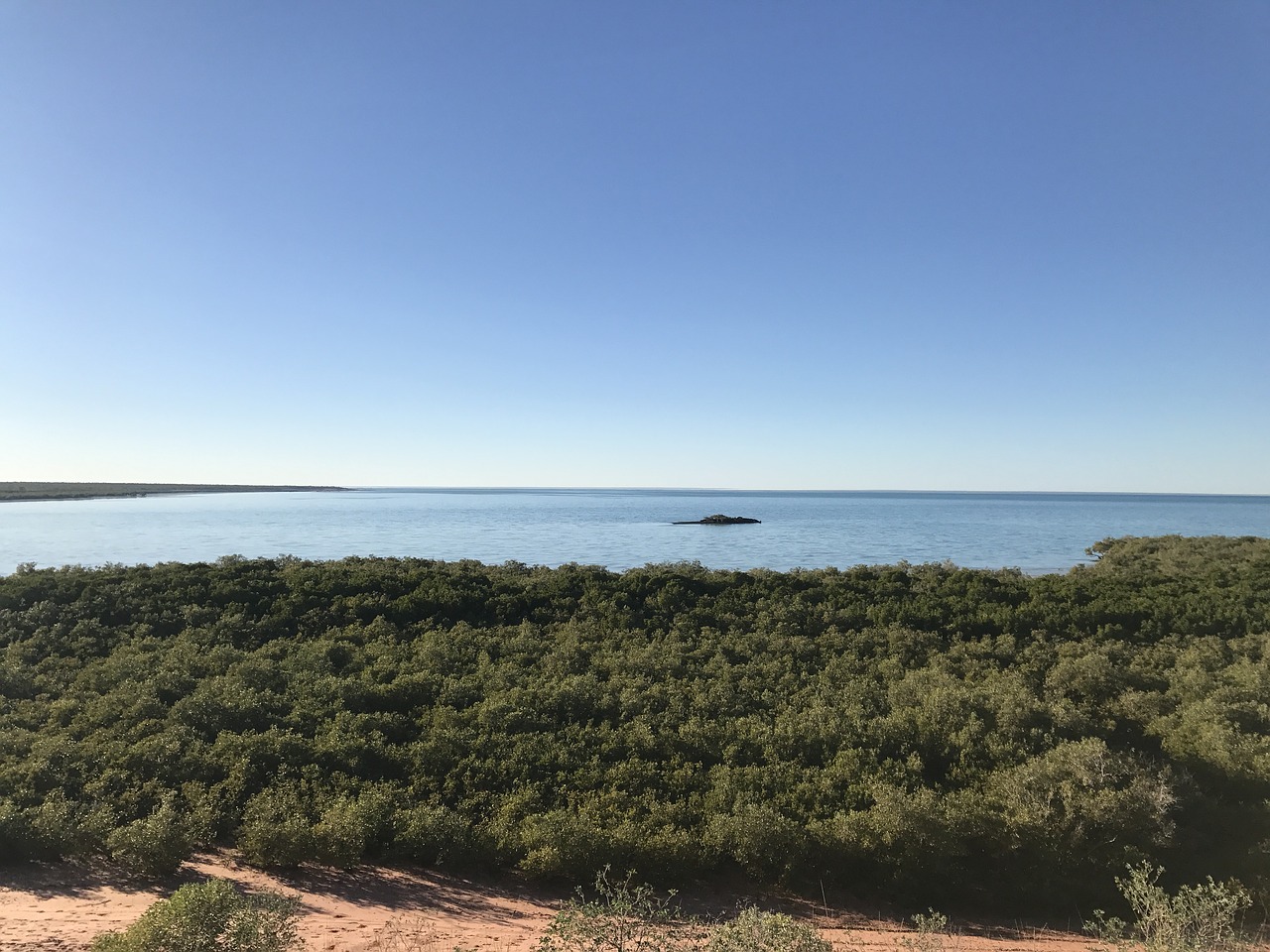 ocean broome sunny free photo