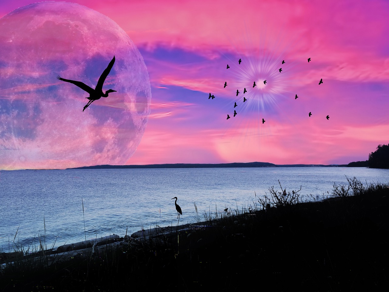 ocean pink sky silhouette free photo
