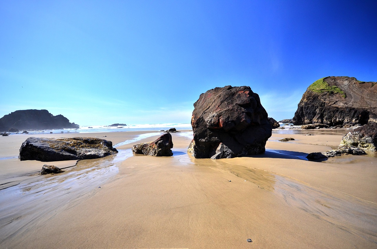 ocean beach rocks free photo