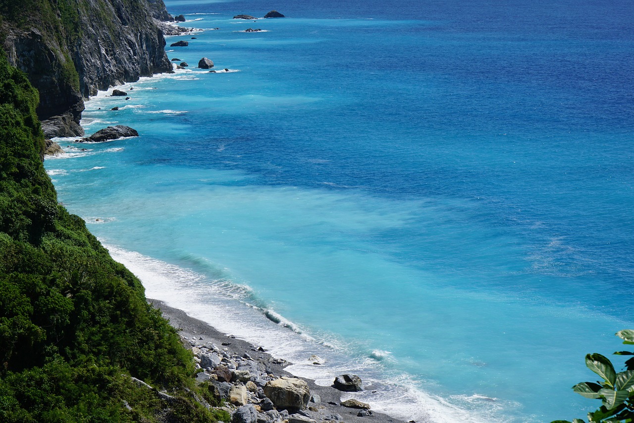 ocean blue tree free photo