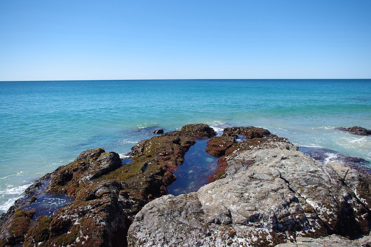 ocean beach australia free photo