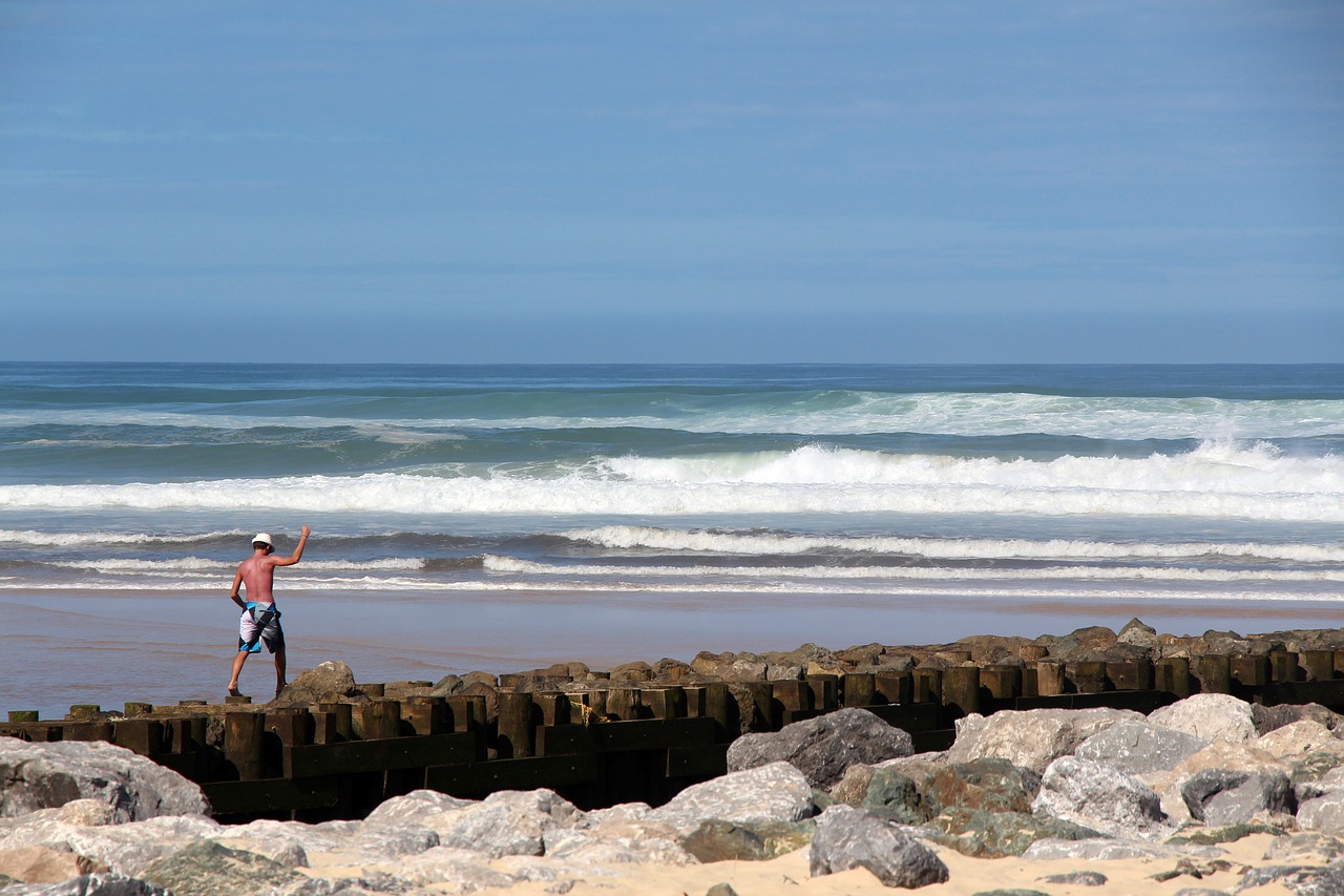 ocean beach waves free photo