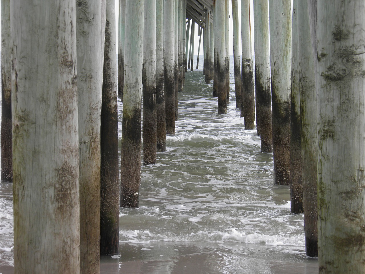 ocean dock pillars free photo