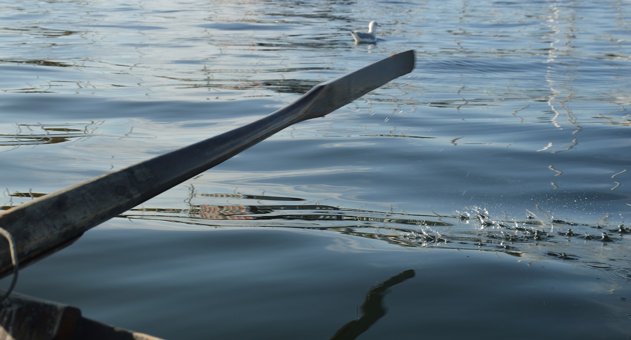ocean fjord rowing free photo